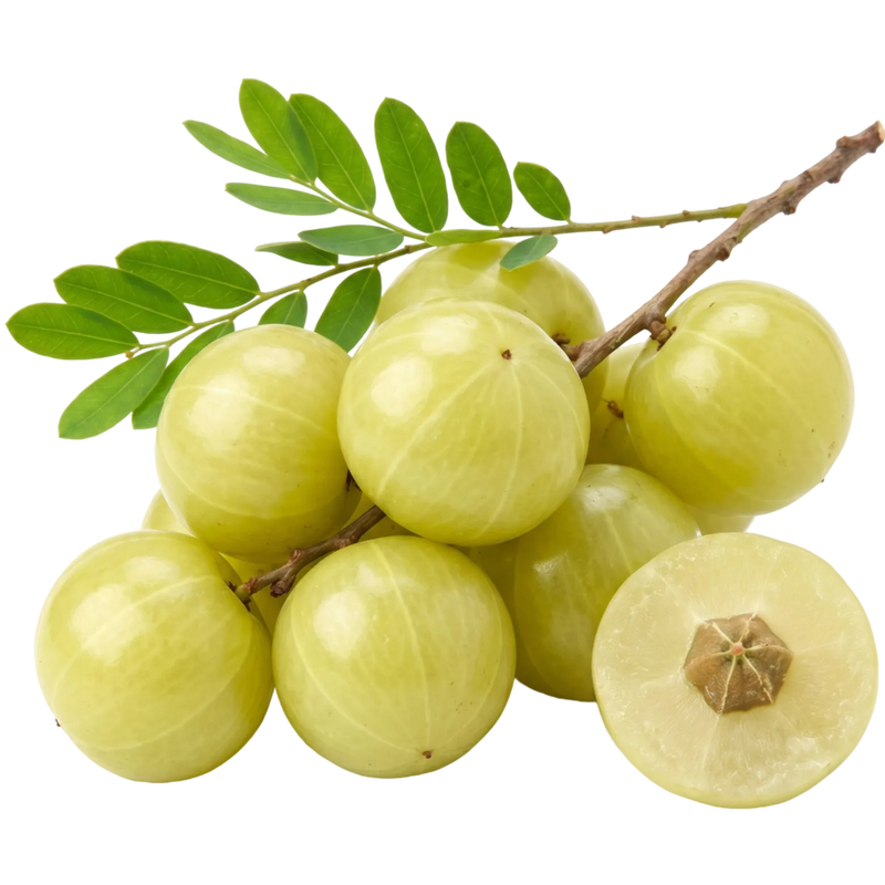 Fresh green amla fruits (Indian gooseberry) — Ayurvedic botanical in Moonshine face oil