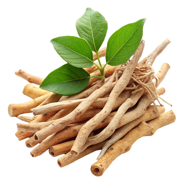 Ashwagandha root (Withania somnifera) - the Ayurvedic adaptogen that calms stressed skin