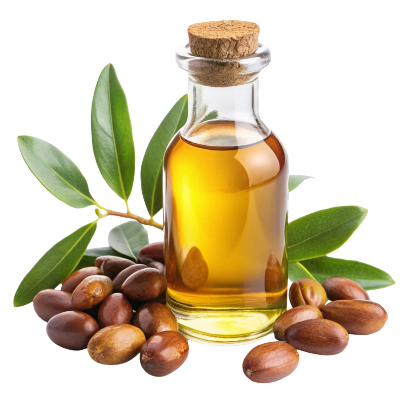 Golden jojoba oil in a glass bottle with jojoba seeds — skin-identical moisture in the Rose & Ashwagandha face cream