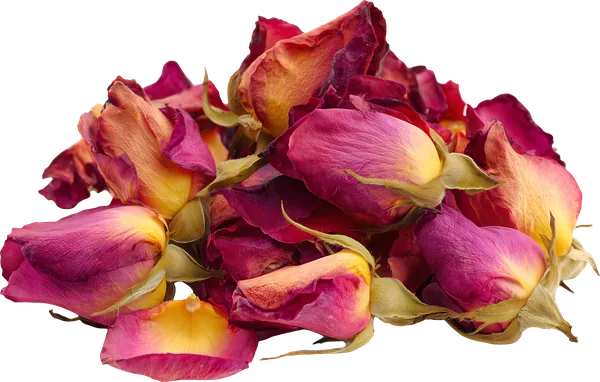 Dried Rosa damascena rose petals - Ayurvedic skincare ingredient that soothes and restores